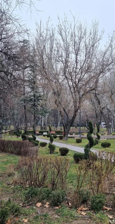 Anın Fotoğrafı