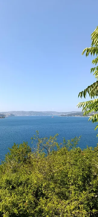 Anın Fotoğrafı