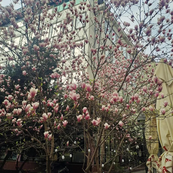 Anın Fotoğrafı