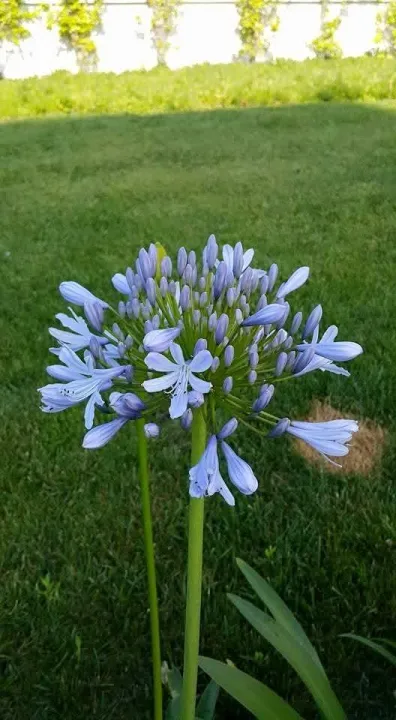 Anın Fotoğrafı