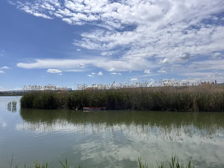 Anın Fotoğrafı