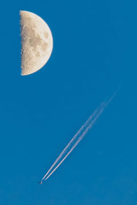 Anın Fotoğrafı