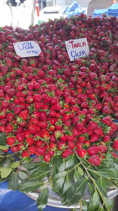 Anın Fotoğrafı