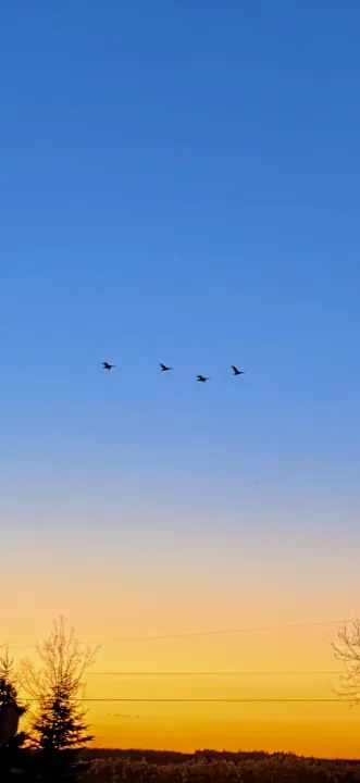 Anın Fotoğrafı