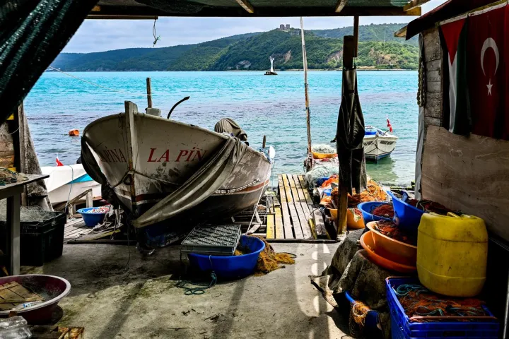 Anın Fotoğrafı
