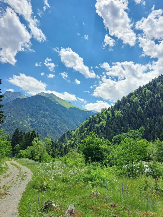 Anın Fotoğrafı