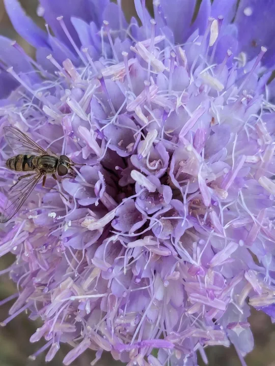 Anın Fotoğrafı