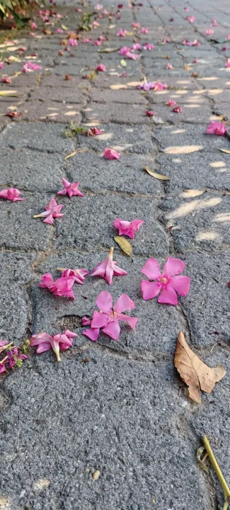 Anın Fotoğrafı
