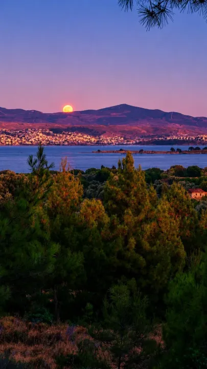Anın Fotoğrafı