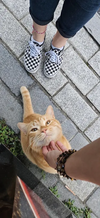 Anın Fotoğrafı
