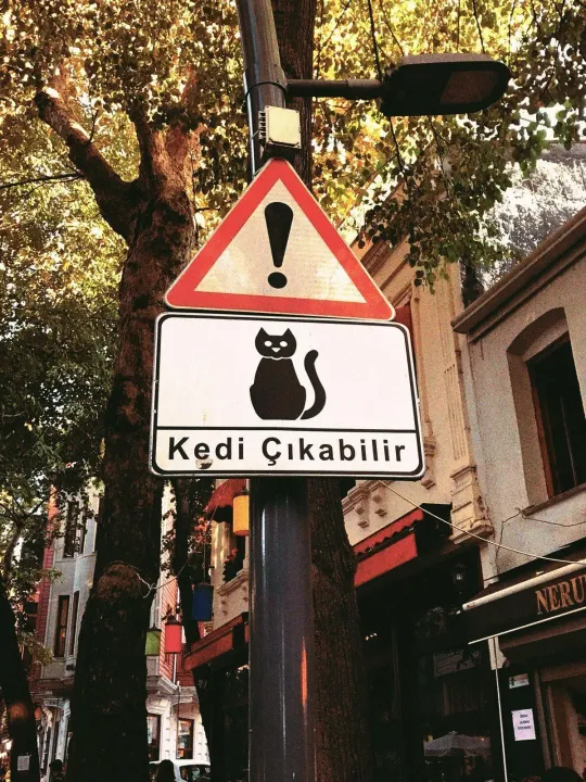 Çoklu paylaşım