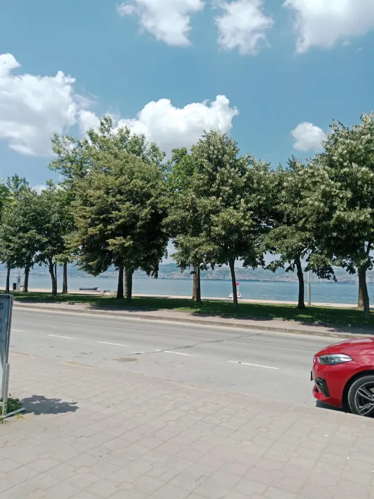 Anın Fotoğrafı