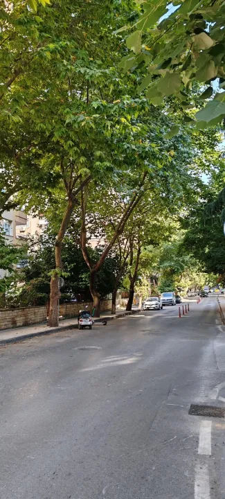 Anın Fotoğrafı