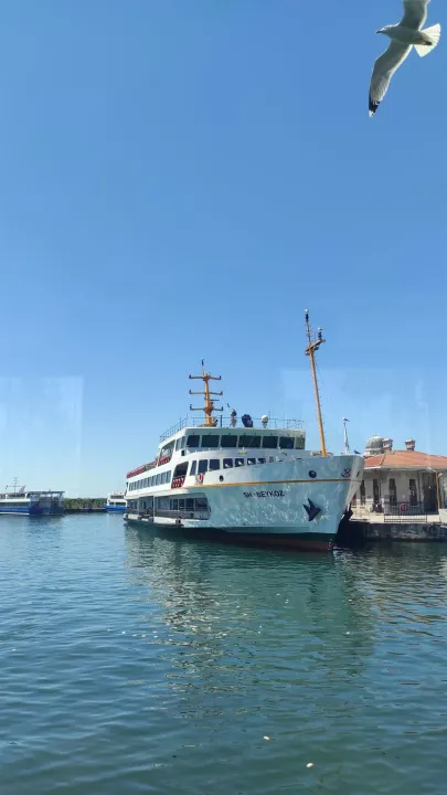 Çoklu paylaşım