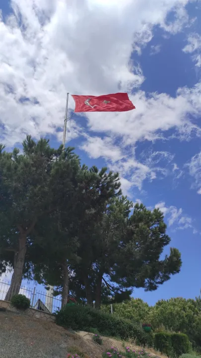 Çoklu paylaşım