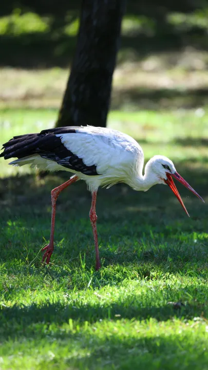 Anın Fotoğrafı