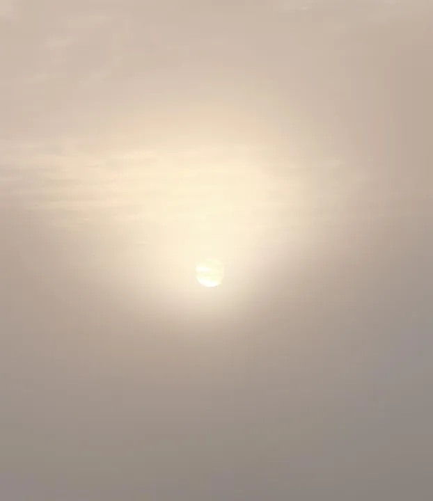 Anın Fotoğrafı