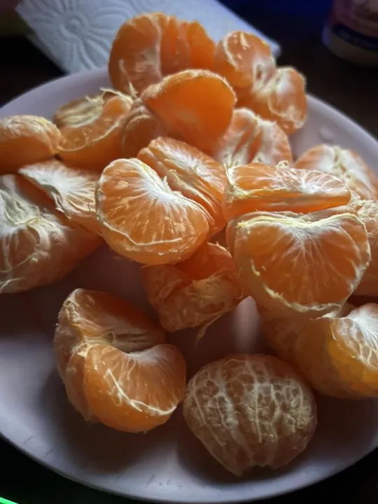Anın Fotoğrafı