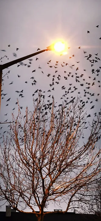 Anın Fotoğrafı