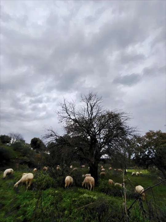 Anın Fotoğrafı