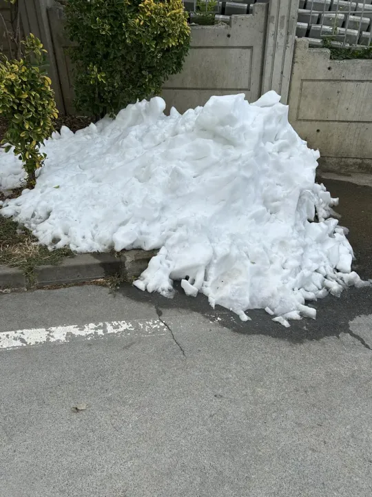 Anın Fotoğrafı