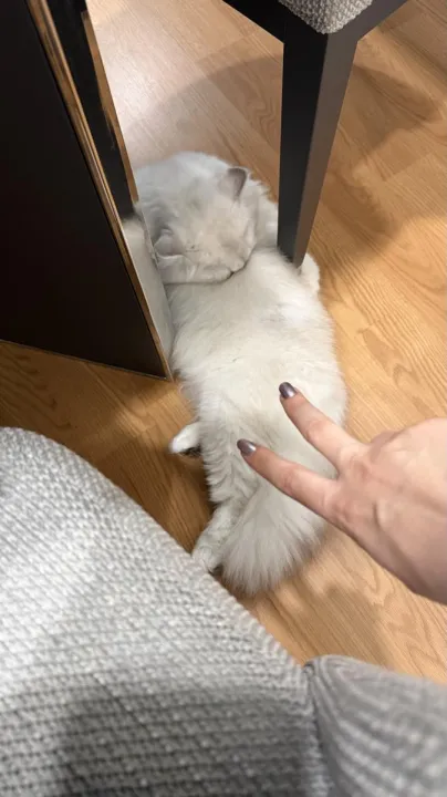 Anın Fotoğrafı