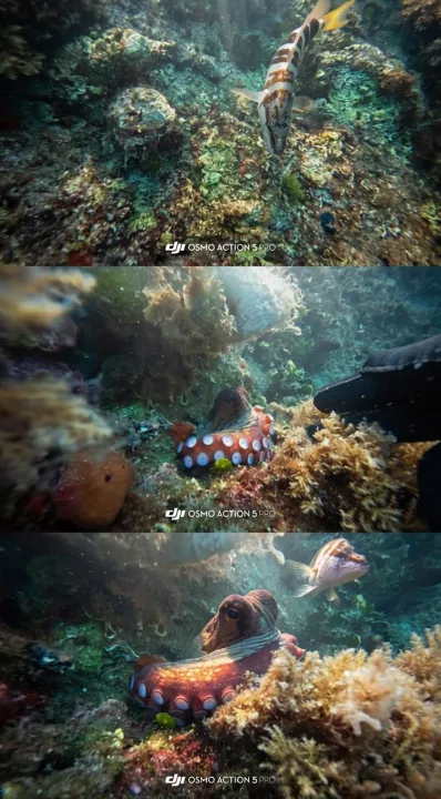 Anın Fotoğrafı