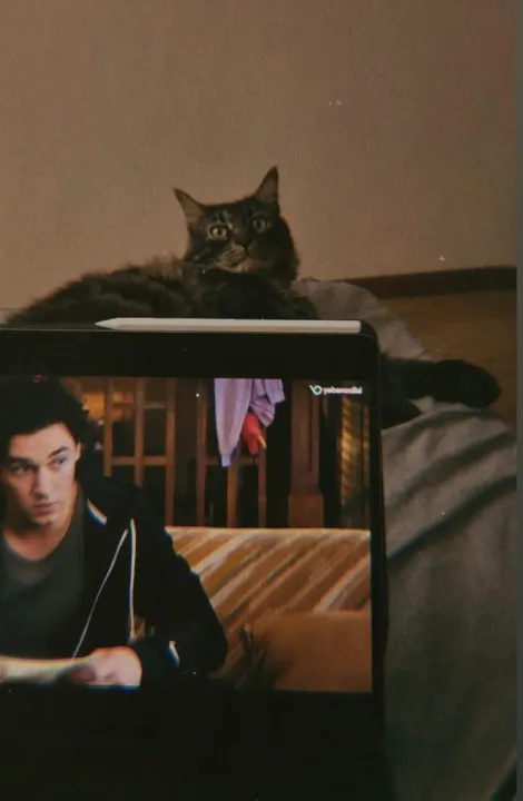Anın Fotoğrafı