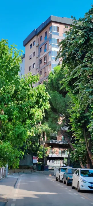 Anın Fotoğrafı