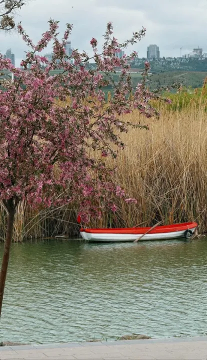 Anın Fotoğrafı