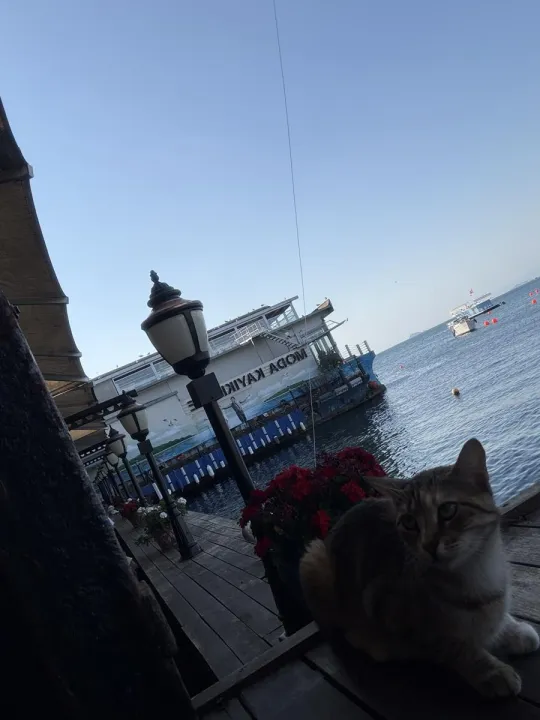 Anın Fotoğrafı