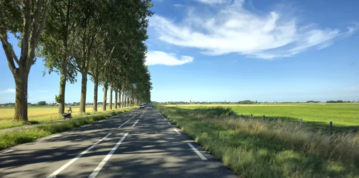 Anın Fotoğrafı