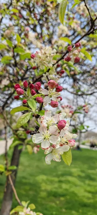 Anın Fotoğrafı
