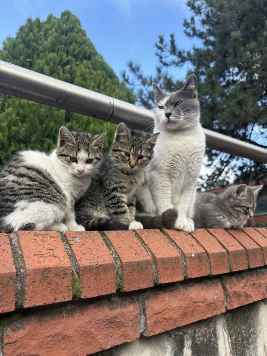 Anın Fotoğrafı