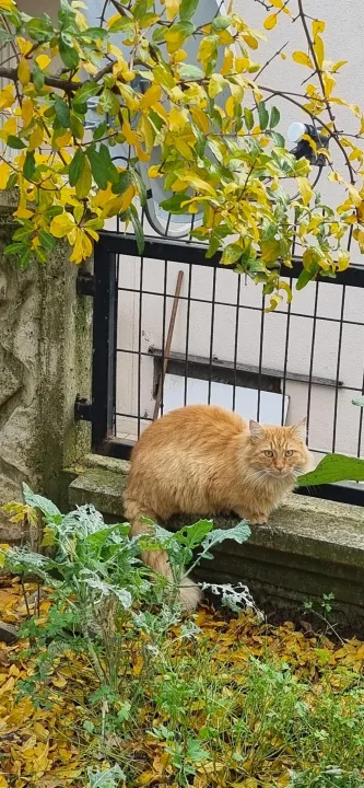 Anın Fotoğrafı