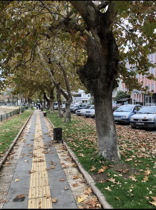 Anın Fotoğrafı