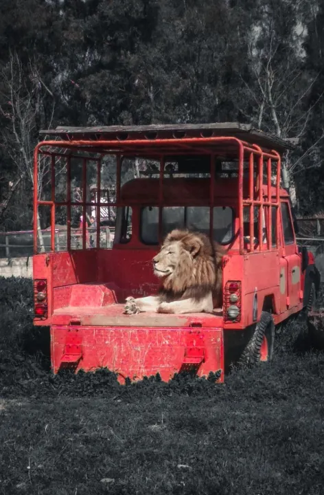 Anın Fotoğrafı