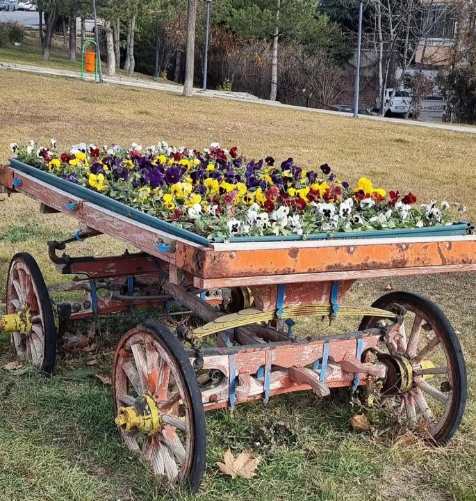 Anın Fotoğrafı