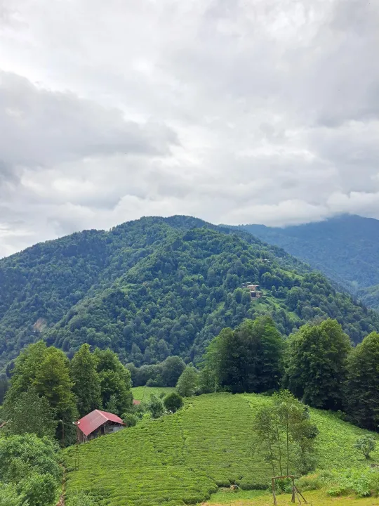 Anın Fotoğrafı