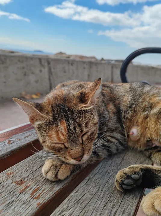 Anın Fotoğrafı