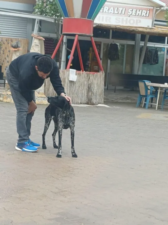Çoklu paylaşım