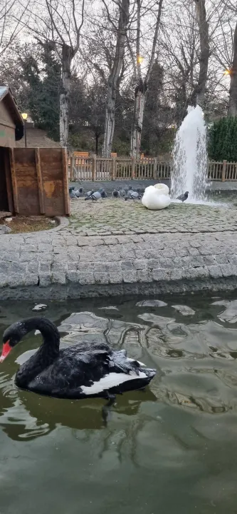 Anın Fotoğrafı