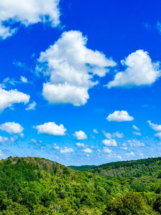 Anın Fotoğrafı