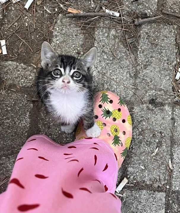 Anın Fotoğrafı