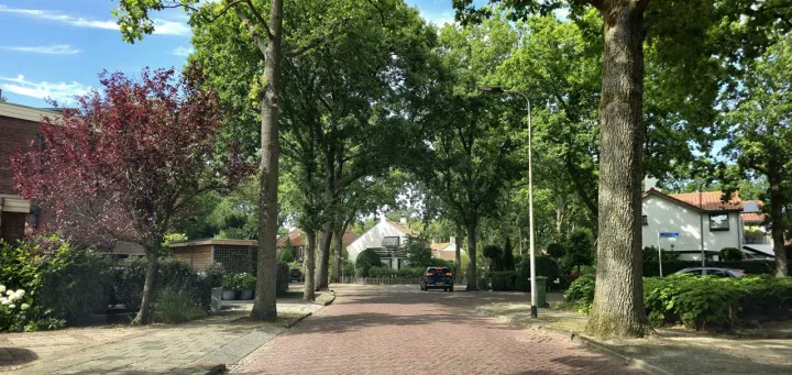 Anın Fotoğrafı