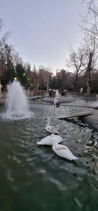 Anın Fotoğrafı