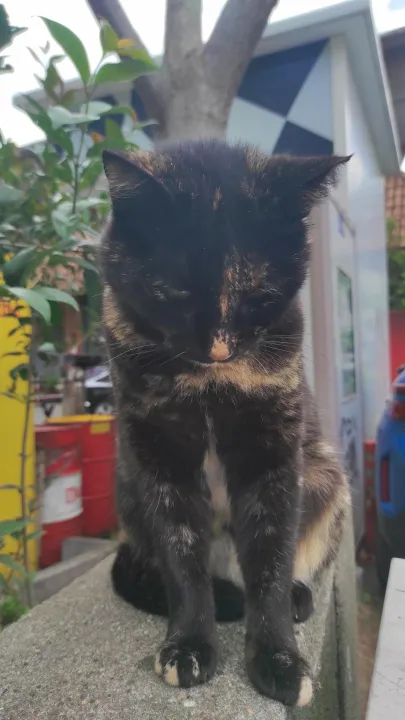 Anın Fotoğrafı