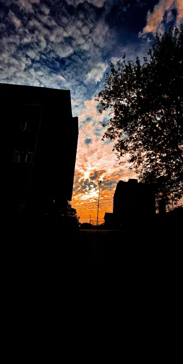 Anın Fotoğrafı
