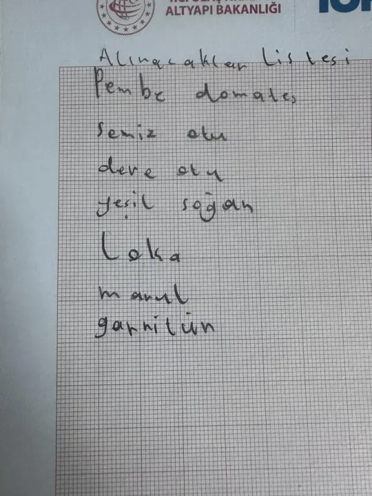 Anın Fotoğrafı