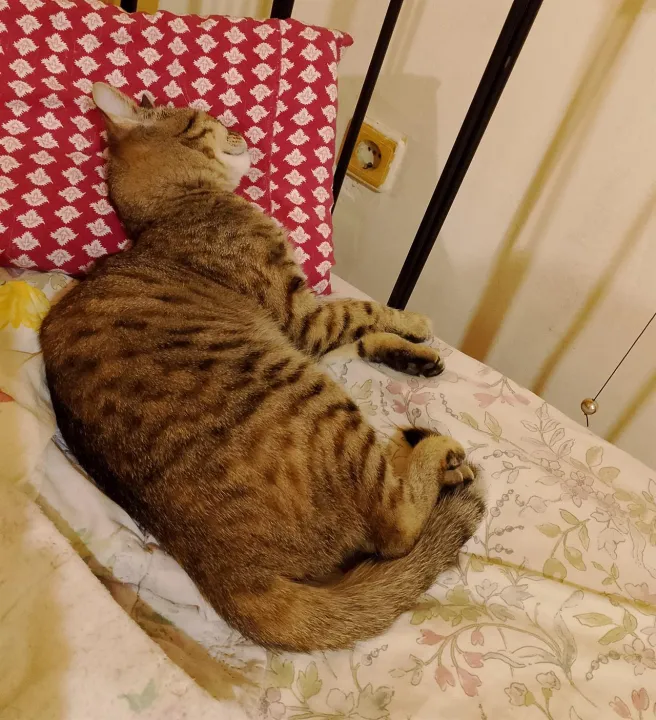 Anın Fotoğrafı